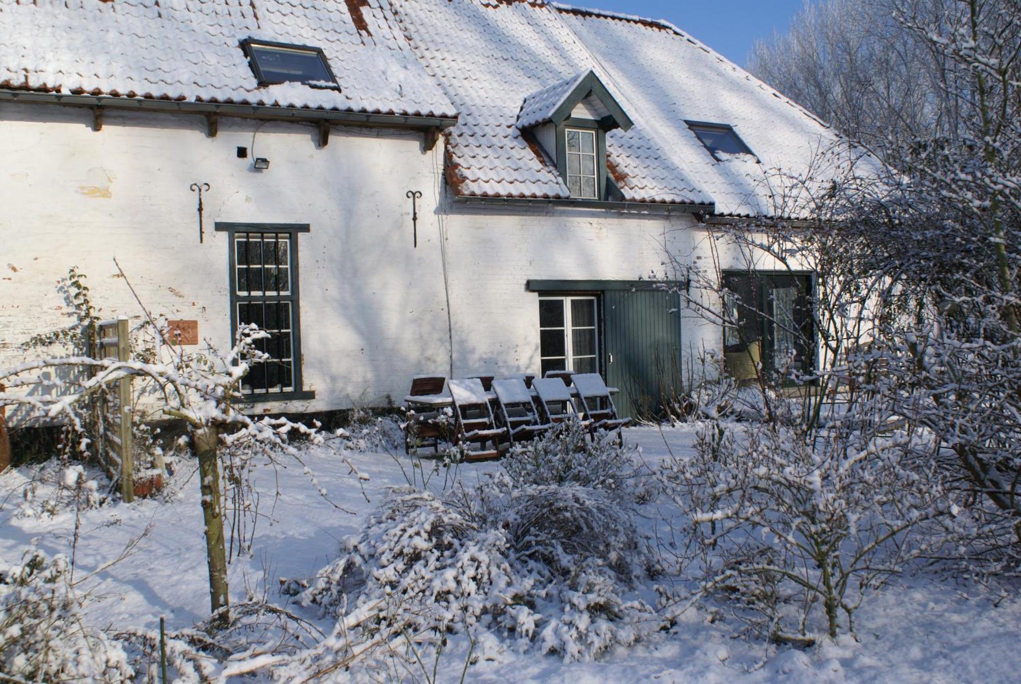 B&B De Metstermolen Sint-Truiden Exterior foto