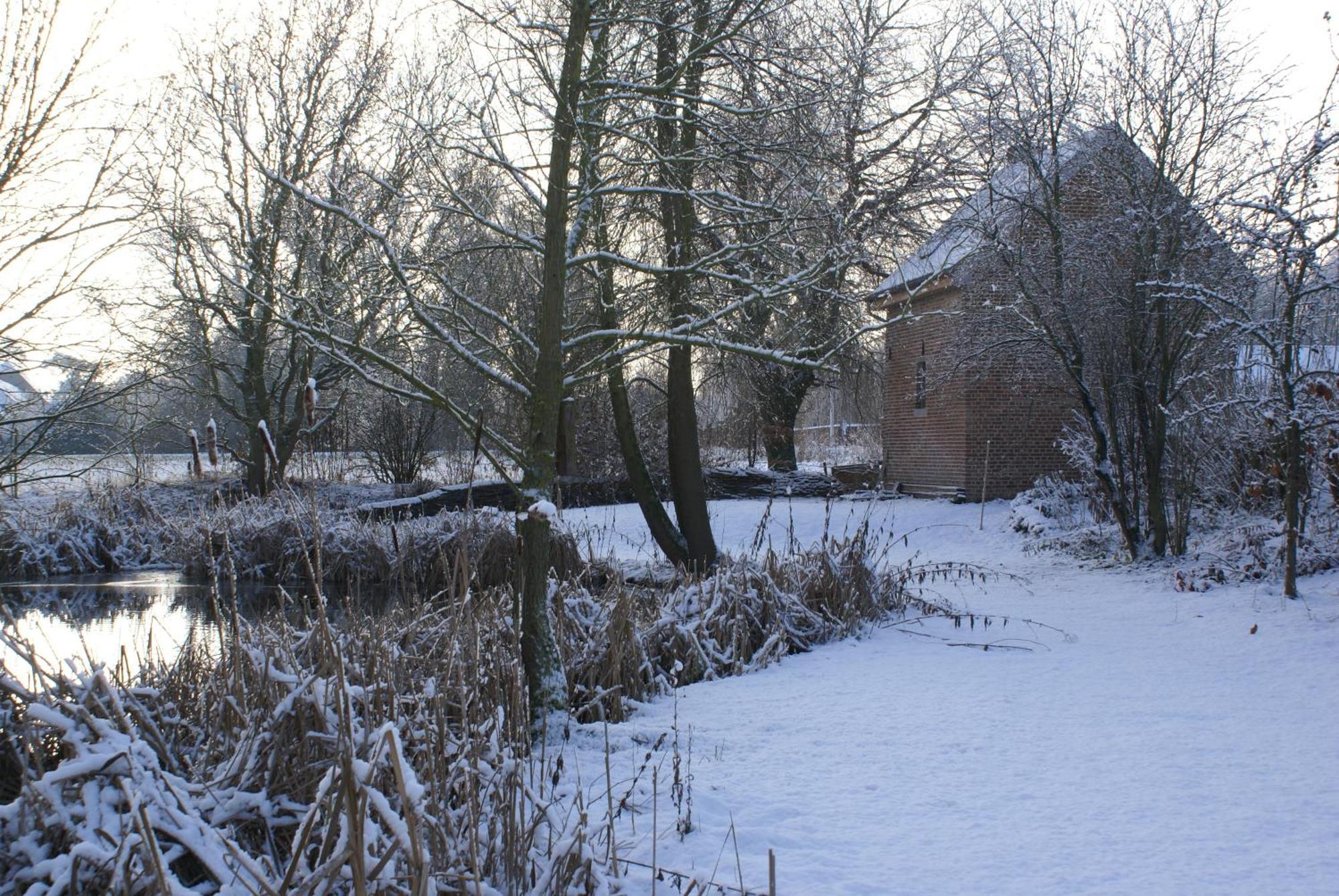 B&B De Metstermolen Sint-Truiden Exterior foto