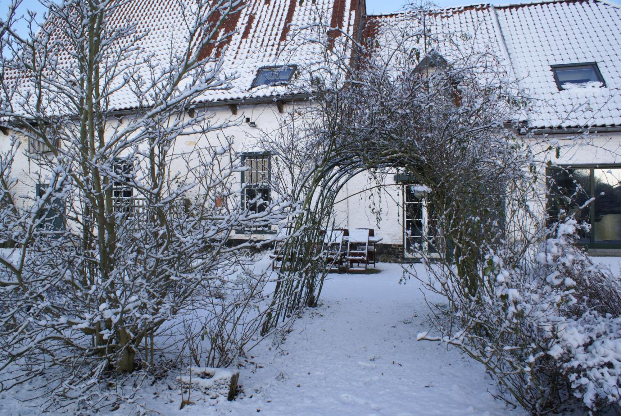 B&B De Metstermolen Sint-Truiden Exterior foto